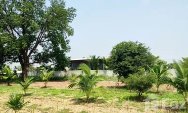 2 Bedroom House for sale in Khok Sung, Chaiyaphum