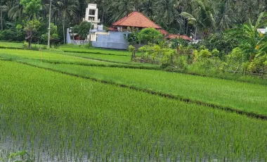 6 Bedroom Villa for sale in Lovina, Bali