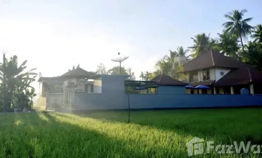 6 Bedroom Villa for sale in Lovina, Bali