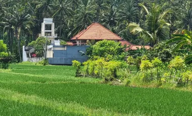 6 Bedroom Villa for sale in Lovina, Bali