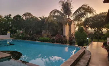 6 Bedroom Villa for sale in Lovina, Bali