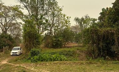 Land for sale in Mae Chan, Chiang Rai