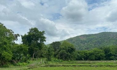 Land for sale in Mae Chan, Chiang Rai