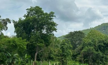 Land for sale in Mae Chan, Chiang Rai