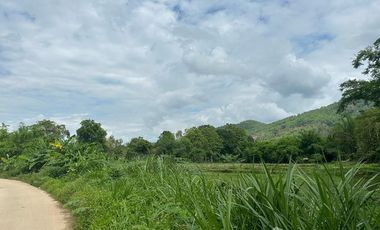 Land for sale in Mae Chan, Chiang Rai