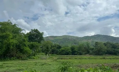Land for sale in Mae Chan, Chiang Rai