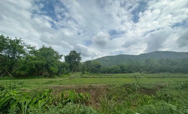 Land for sale in Mae Chan, Chiang Rai