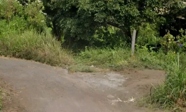 Land for sale in Kintamani, Bali