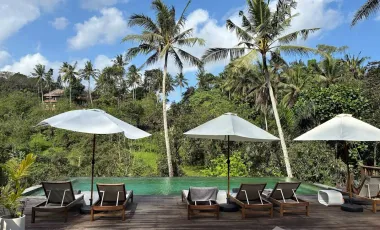 Land for sale in Ubud, Bali