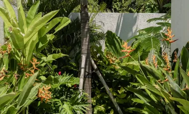 1 Bedroom Villa for sale at Kono Villas