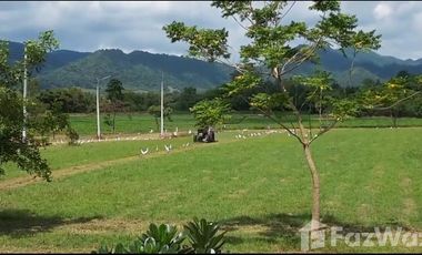 3 Bedroom House for sale at The Nature Petchaboon