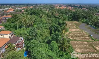 Land for sale in Ubud, Bali