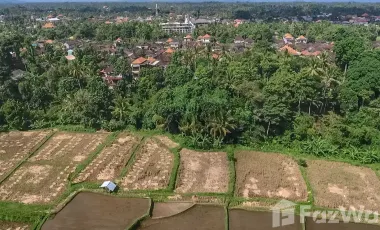 Land for sale in Ubud, Bali