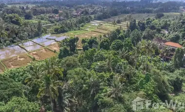 Land for sale in Ubud, Bali