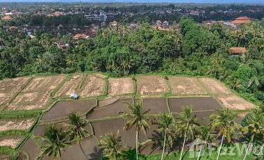 Land for sale in Ubud, Bali
