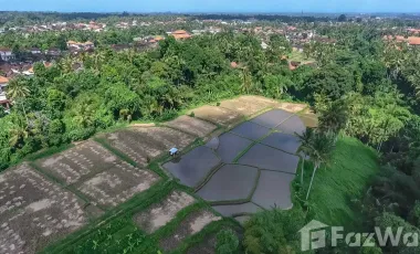 Land for sale in Ubud, Bali
