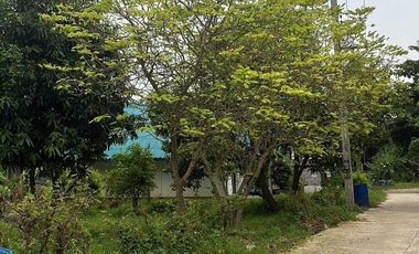 3 Bedroom House for sale in Wang Dong, Kanchanaburi