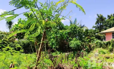 Land for sale in Pererenan, Bali