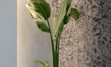 1 Bedroom Villa for sale at LOYO Villas