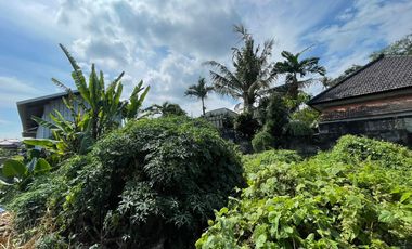 Land for sale in Tumbak Bayuh, Bali