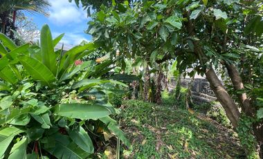 Land for sale in Tumbak Bayuh, Bali
