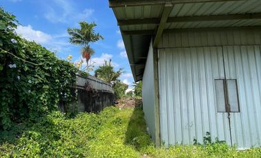 Land for sale in Tumbak Bayuh, Bali