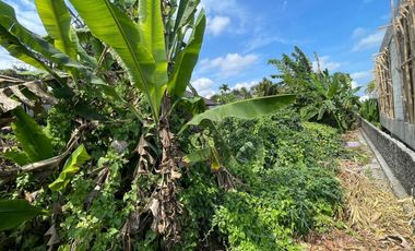 Land for sale in Tumbak Bayuh, Bali