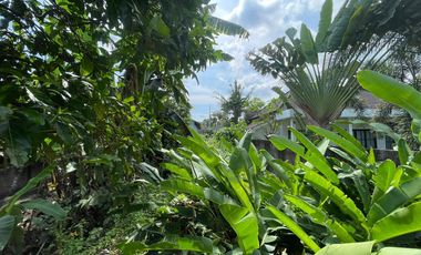 Land for sale in Tumbak Bayuh, Bali