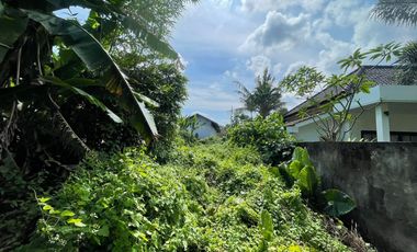 Land for sale in Tumbak Bayuh, Bali