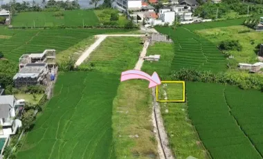 Land for sale in Cemagi, Bali