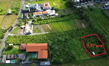 Land for sale in Mengwi, Bali