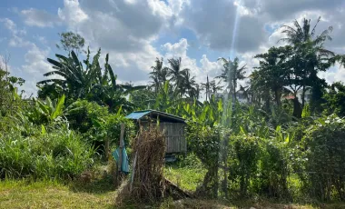 Land for sale in Mengwi, Bali