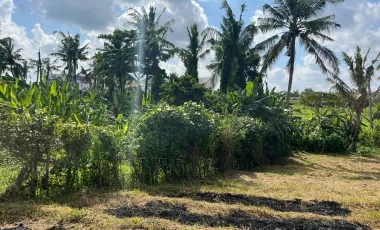 Land for sale in Mengwi, Bali