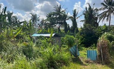 Land for sale in Mengwi, Bali