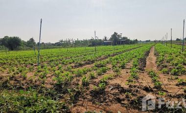 3 Bedroom House for sale in Thung Thong, Kanchanaburi