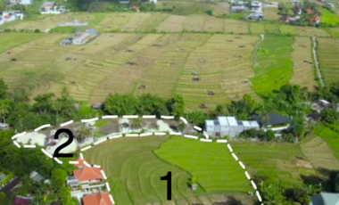 Land for sale in Mengwi, Bali
