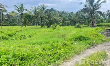 Land for sale in Susut, Bali
