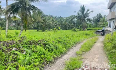 Land for sale in Susut, Bali