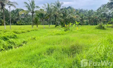 Land for sale in Susut, Bali