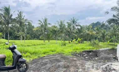 Land for sale in Susut, Bali