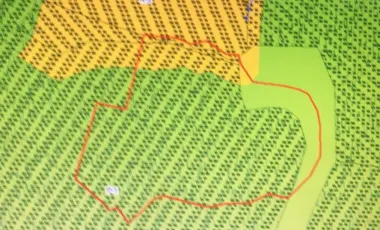 Land for sale in Susut, Bali