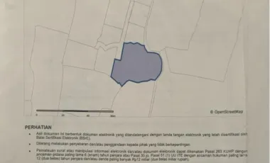 Land for sale in Susut, Bali