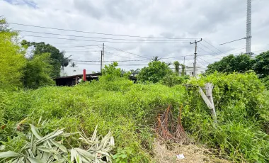 Land for sale in Mengwi, Bali