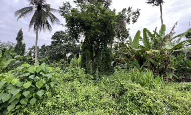 Land for sale in Ubud, Bali
