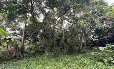 Land for sale in Ubud, Bali