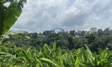 Land for sale in Ubud, Bali