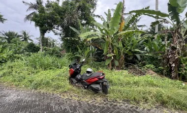Land for sale in Ubud, Bali