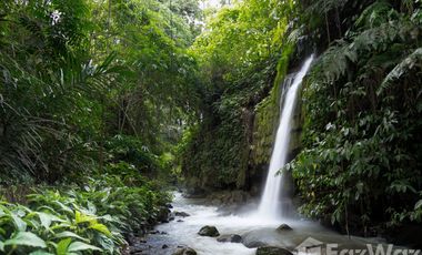 2 Bedroom Villa for sale in Blahbatu, Bali