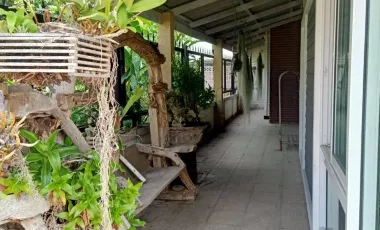 3 Bedroom House for rent in Rop Wiang, Chiang Rai