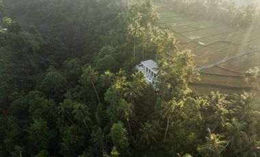 2 Bedroom Villa for sale in Ubud, Bali